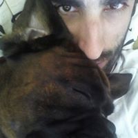 Nemtedigo avatar