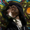 DOGGYLA