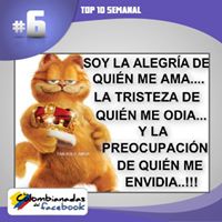 elgordito avatar